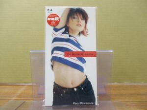 S-1147[8cm одиночный CD] прекрасный запись / Kawamura Kaori Go Home No Home / Bye Bye Summer / FHDF-1551