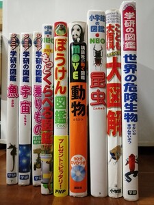 図鑑色々9冊セット販売