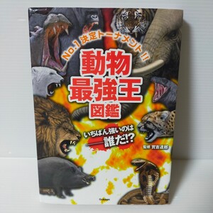 動物最強王図鑑 : No.1決定トーナメント!!