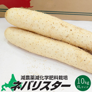 ヤフオク とろろいもの中古品 新品 未使用品一覧 ヤフオク とろろいもの中古品 新品 未使用品一覧