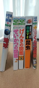 小学館の図鑑NEO 図鑑セット 5冊 まとめて