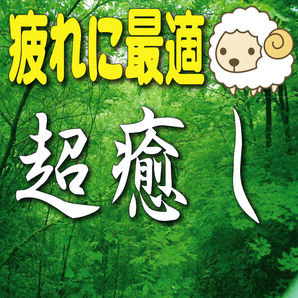 ★★ 超癒し (送料無料 サンプルあり リラクゼーション ヒーリング 不眠症 睡眠障害)