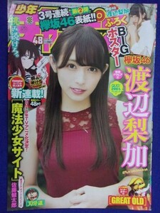 3155 ★グラビアのみ★チャンピオン 2017年No.48 渡辺梨加ポスター付 ★送料【グラビアのみ】何冊でも150円★