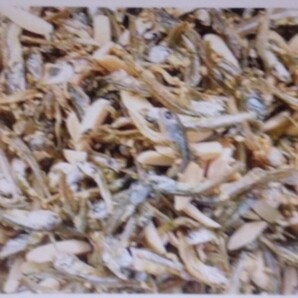 アーモンド小魚 大容量320g 小魚アーモンド アーモンドフィッシュ
