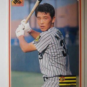 ベースボールカード BBM 金子誠一～阪神・タイガース 1991年の画像1