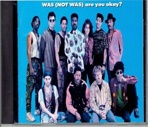 ワズ（ノット・ワズ）CD「are you okay?　アー・ユー・OK?」WAS(NOT WAS) 1990年　盤面状態良好・送料無料