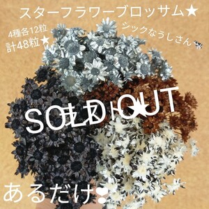 ハーバリウムボールペン レジン アクセサリー 花材セット 気まぐれ素材 シック牛