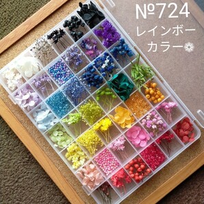 №724 ハーバリウムボールペン レジン アクセサリー 花材セット 気まぐれ素材