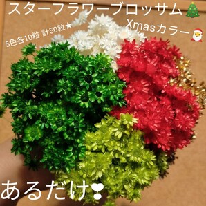ハーバリウムボールペン レジン アクセサリー 花材セット 気まぐれ素材 Xmas
