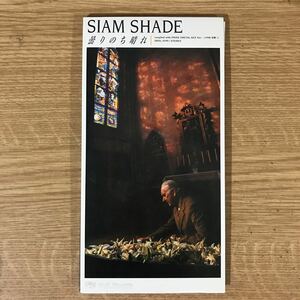 (D905)中古8センチCD300円(送料込) SIAM SHADE 曇りのち晴れ
