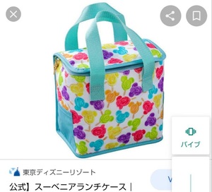 保冷バッグ クーラーバッグ ムーミン アズノゥアズ ハーゲンダッツ SPRING JAバンク
