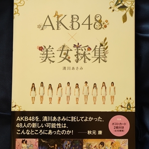 AKB48写真集 美女採集