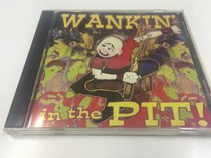 中古CD/レア盤　『Wankin' in the PIT!』　No.253
