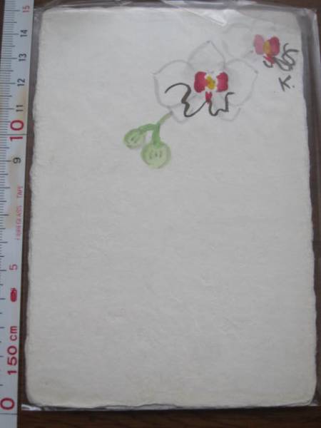 Postal Kyukyodo Invierno★ Orquídea Phalaenopsis★ Postal con orejas Imagen carta Postal Tarjeta de Año Nuevo, impresos, tarjeta postal, Tarjeta postal, paisaje, Naturaleza