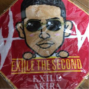 EXILE THE SECOND LIVE TOUR WILD WILD WARRIORS AKIRA ハンドタオル ガチャ