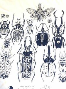 世界の昆虫　珍虫　半袖Tシャツ　XLサイズ　甲虫　インセクト　ゴライアスオオツノハナムグリ　コノハムシ　ヘラクレス　insect