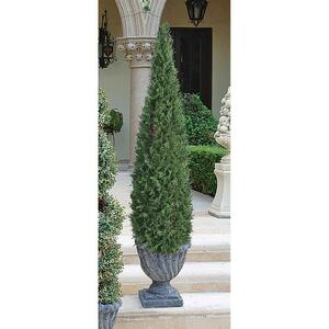  topiary tree cone type large human work decorative plant fake green interior ornament garden outdoors France garden ornament West European style garden objet d'art potted plant decoration 