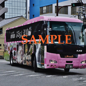 D-４【バス写真】Ｌ版４枚 九州急行バス ガーラ 嬉野温泉 ラッピング車の画像1