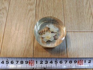 s111u Sakura paperweight Shimizu temple size approximately 6.×3.3. acrylic fiber 