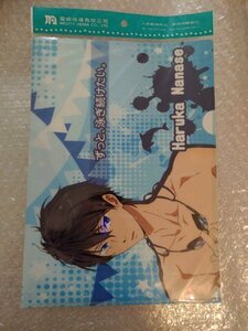 Free! 七瀬遙 クリアファイル 　B　 海外限定