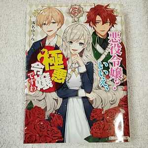 悪役令嬢? いいえ、極悪令嬢ですわ (角川ビーンズ文庫) 浅名 ゆうな 花ヶ田 9784041082713