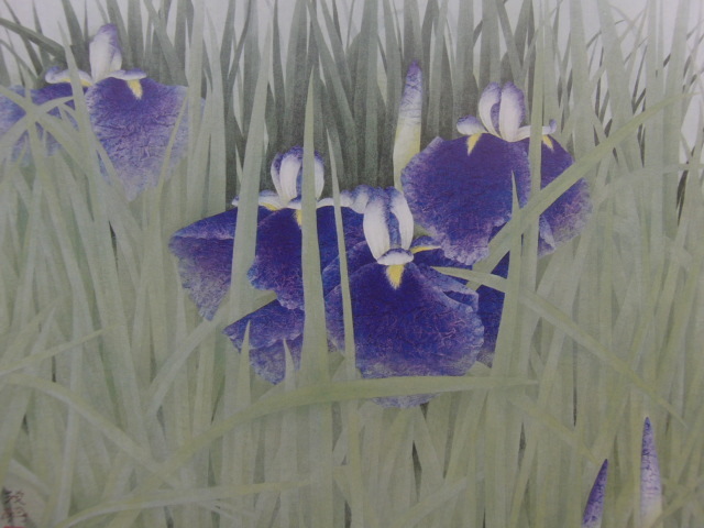 Shigeaki Kuromitsu, [Fleurs d'iris], Extrait d'un rare livre d'art encadré, Tout neuf avec cadre, Bonne condition, frais de port inclus, coco, peinture, peinture à l'huile, Nature, Peinture de paysage