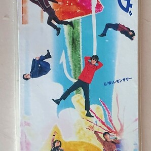 恋愛信号 / プラトニックラブ レモンサワー