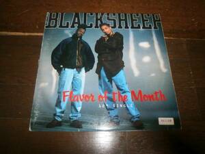 BLACK SHEEP / FLAVOR OF THE MONTH /RAGGA HIP HOP