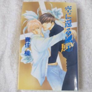 空に還る風〈1〉 (ビーボーイノベルズ) 新書 鹿住 槇 金 ひかる 9784882713272