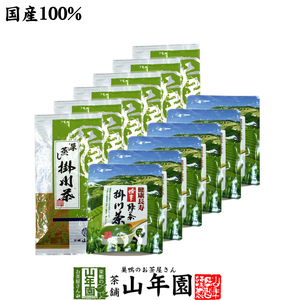 お茶 日本茶 煎茶 掛川深蒸し茶+掛川粉末茶セット 12袋セット(600g+300g) 掛川茶 送料無料