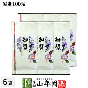 お茶 日本茶 煎茶 知覧茶 100g×6袋セット 送料無料