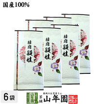 お茶 日本茶 煎茶 頴娃 100g×6袋セット 送料無料_画像1