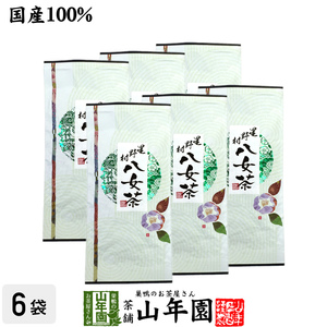 お茶 日本茶 煎茶 八女茶 100g×6袋セット 福岡県 徳用 送料無料