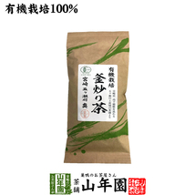 お茶 日本茶 煎茶 茶葉 釜炒り茶 100g 送料無料_画像1