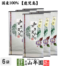 お茶 日本茶 煎茶 日本茶 お茶 茶葉 知覧さえみどり 100g×6袋セット 送料無料_画像1