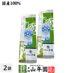 お茶 日本茶 煎茶 冬のアナタ 100g×2袋セット 静岡茶 送料無料