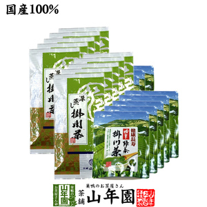 お茶 日本茶 煎茶 掛川深蒸し茶+掛川粉末茶セット 20袋セット(1000g+500g) 掛川茶 送料無料