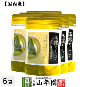 日本茶 お茶 茶葉 星野村産 玉露 40g（5g×8包）×6袋セット