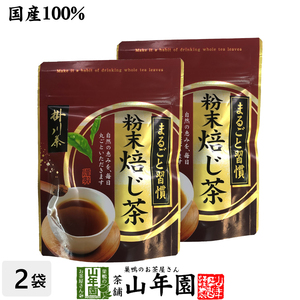 お茶 日本茶 ほうじ茶 粉末ほうじ茶 日本茶 お茶 茶葉 掛川茶 粉末 焙じ茶 50g×2袋セット 送料無料