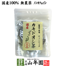 健康茶 国産100% カキドオシ茶 ティーパック 1.5g×20パック 宮崎県産 無農薬 ノンカフェイン 送料無料_画像1