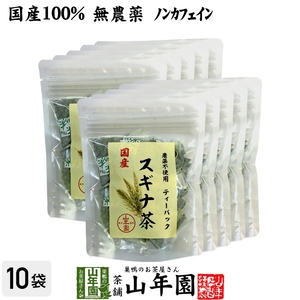 健康茶 国産100% スギナ茶 ティーパック 1.5g×20パック×10袋セット 無農薬 ノンカフェイン 宮崎県産 送料無料