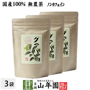 健康茶 国産100% グァバ茶 3g×16パック×3袋セット ティーパック ノンカフェイン 鹿児島県産 無農薬 送料無料