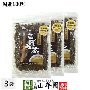 健康茶 ごぼう茶 国産 70g×3袋セット 宮崎県産 食べられるごぼう茶 送料無料