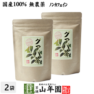 健康茶 国産100% グァバ茶 3g×16パック×2袋セット ティーパック ノンカフェイン 鹿児島県産 無農薬 送料無料