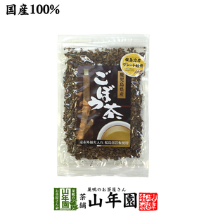 健康茶 ごぼう茶 国産 70g 宮崎県産 食べられるごぼう茶 送料無料