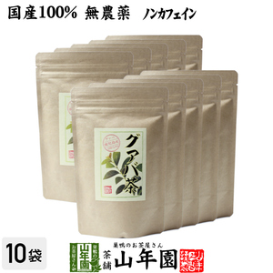 健康茶 国産100% グァバ茶 3g×16パック×10袋セット ティーパック ノンカフェイン 鹿児島県産 無農薬 送料無料