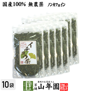 健康茶 イチョウ茶 イチョウ葉 70g×10袋セット 国産100% 無農薬 ノンカフェイン 送料無料