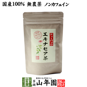 健康茶 国産100% エキナセア茶 2g×10パック ノンカフェイン 鳥取県または熊本県産 無農薬 送料無料