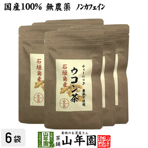 健康茶 国産100% 無農薬 ウコン茶 1.5g×10包×6袋セット ティーバッグ 沖縄県産 送料無料