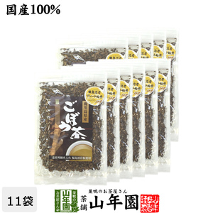 健康茶 ごぼう茶 国産 70g×11袋セット 宮崎県産 食べられるごぼう茶 送料無料